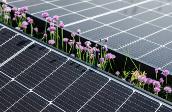 Detailansicht von Photovoltaik-Panelen