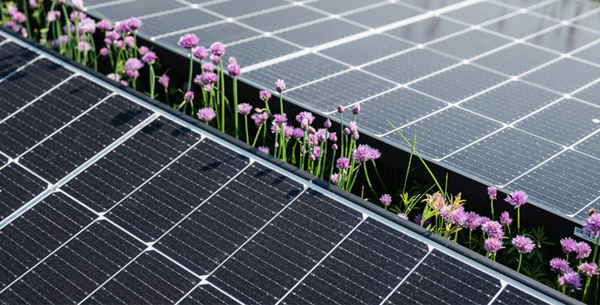 Detailansicht von Photovoltaik-Panelen